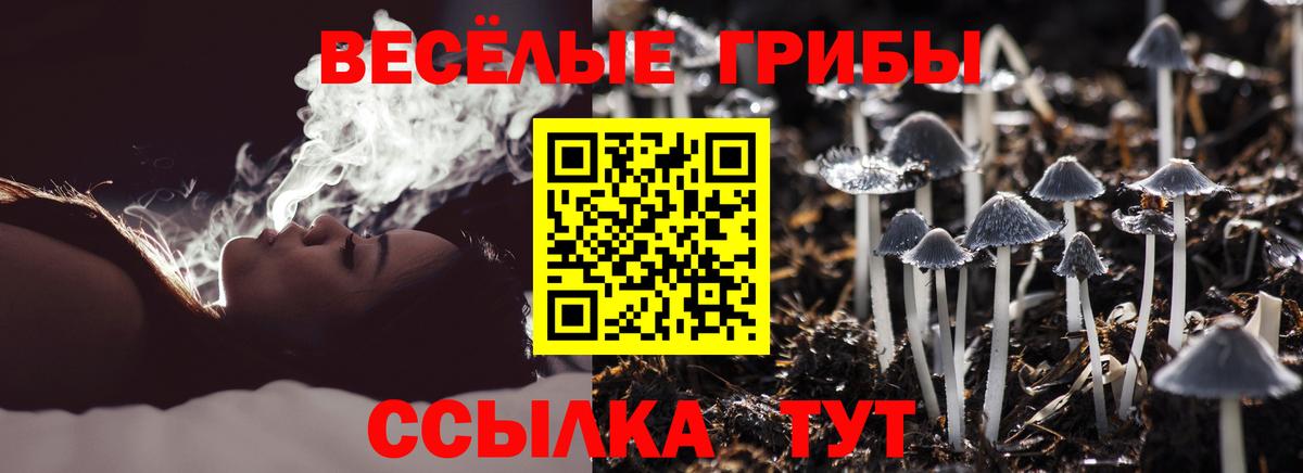 Галлюциногенные грибы прущие грибы Благодарный